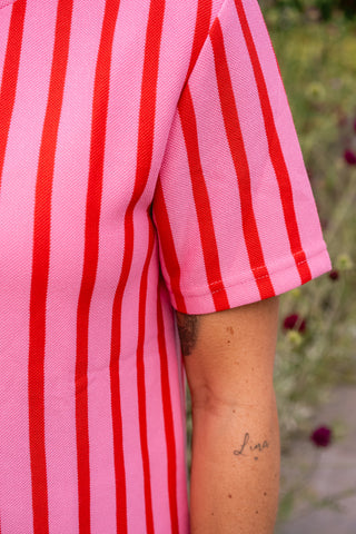 Rayelle Dress Pink