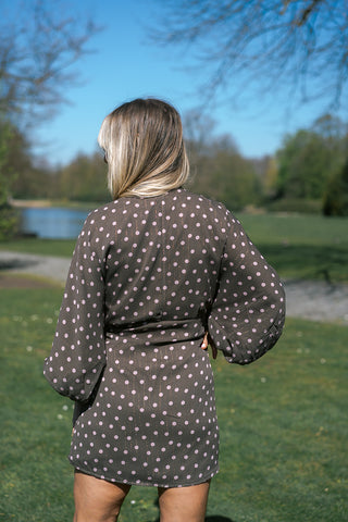 Linkes Dress Brown