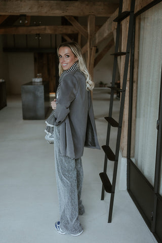 Nina Trousers Silver