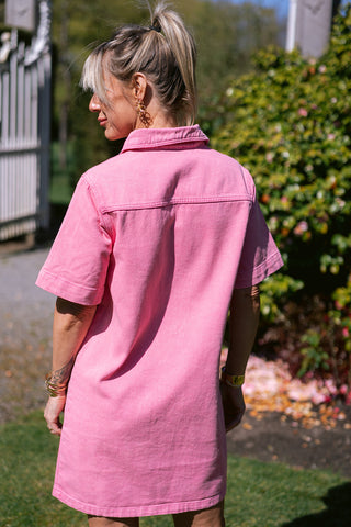 Roob Dress Pink