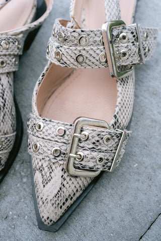 Snakey Shoes Grey