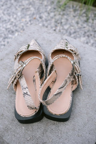 Snakey Shoes Grey