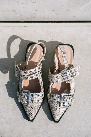 Snakey Shoes Grey